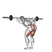 Barbell guten Morgen