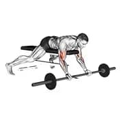 Barbell liegt Prediger Curl