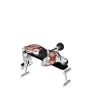 Langhantelpresse Sit-up