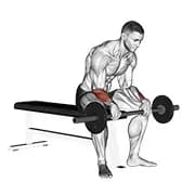Barbell Revers Handgelenk Curl v. 2
