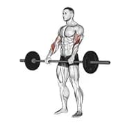 Langhantel-Reverse-Curl