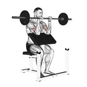 Barbell Reverse Prediger Curl