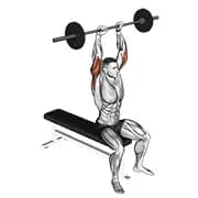 Langhantelsitzende Trizepsverlängerung