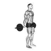 Barbell Standing Back Handgelenk Locke