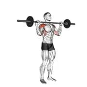 Barbell Standing Bradford Presse