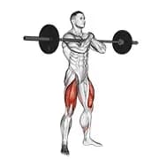 Langhantelzercher Squat