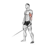 Kabel 1 Arm Curl