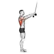 Kabel-Pushdown (gerade Arm) v. 2
