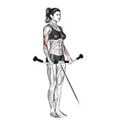 Kabel-Reverse Curl