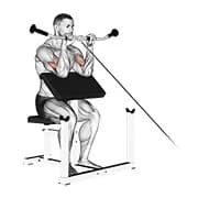 Kabel-Reverse-Prediger Curl