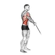Kabelstandlift