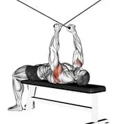 Supine Reverse Fly