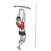 Kinn-ups (schmaler Parallelgriff)