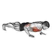 Clock Push-Up
