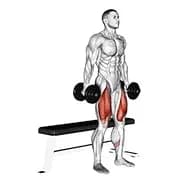 Langhantelbank Squat