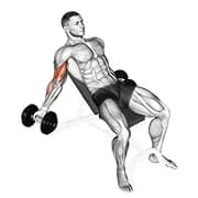 Langhantel incline innerer Bizeps curl