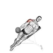Hantel neigt einen Arm seitlich anheben