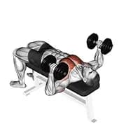 Hantelliegehammerpresse