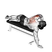 Hantel liegt einen Arm deltoid hinten