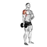 Hantel 1 Arm seitlich anheben