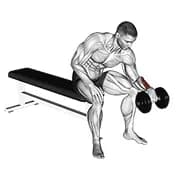 Dumbbell One Arm Reverse Handgelenk Curl