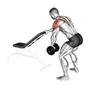 Dumbbell One Arm Reverse Fly (mit Unterstützung)