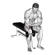 Dumbbell One Arm Handgelenk Curl