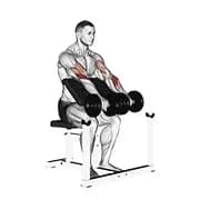 Dumbbell Reverse Prediger Curl