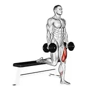 Split Squat mit Kurzhanteln