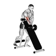 Hantel mit einem Arm Curl (über incline Bank)