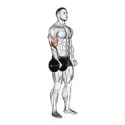Hantel stehend einen Arm reverse curl