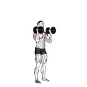 Hantel stehende Palmen in der Presse