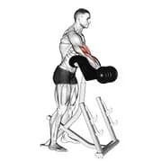 Dumbbell Standing Prediger Curl
