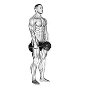 Hantel steifes Bein Deadlift
