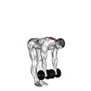 Langhantel Straight Leg Deadlift