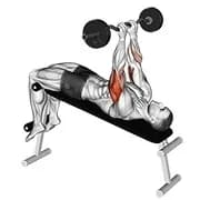 ez barbell drop enge Grifffläche Presse