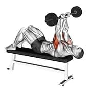 ez barbell jm bankpresse