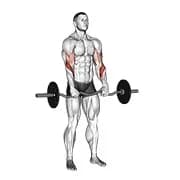 ez barbell reverse Grip Locke