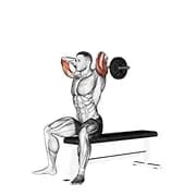 ez barbell sitzende Trizepsverlängerung