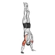 Handstand Push-up