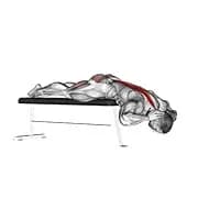 Hyperextension (auf der Bank)