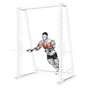 Incline Reverse Grip nach oben