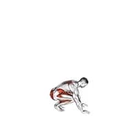 Jack Burpee