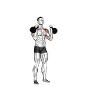Kettlebell Wechselpresse