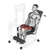 Beinstrecker (Maschine)
