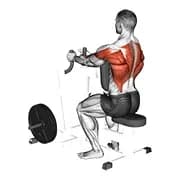Enges Rudern sitzend (Maschine)