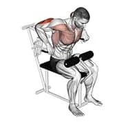 Hebel Overhand Trizeps Dips