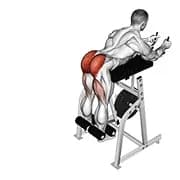Reverse Hyperextension (Maschine)