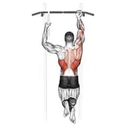 Ein Arm Kinn-up