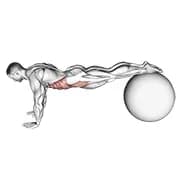 Pull-in (auf Stabilitätsball)
